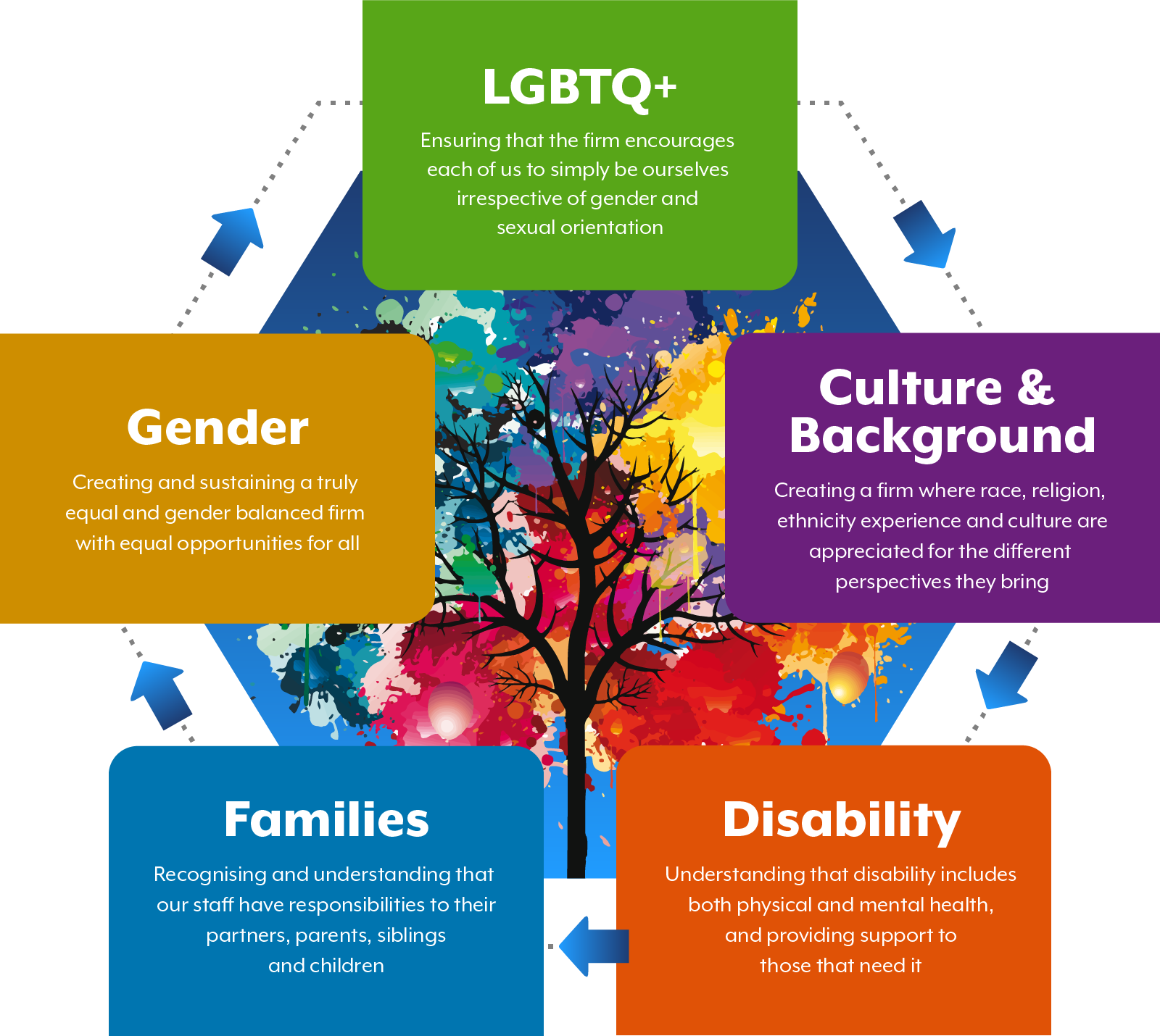 Diversity, Equity and Inclusion Focus Areas
