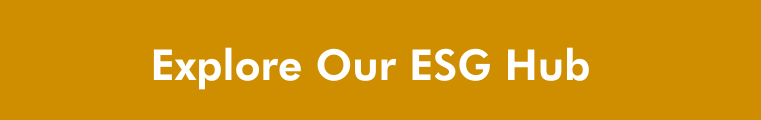 Text on yellow background - Explore our ESG Hub