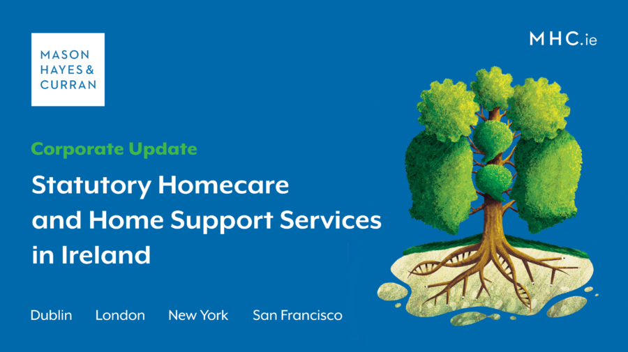 Statutory Homecare and Home Support Services in Ireland