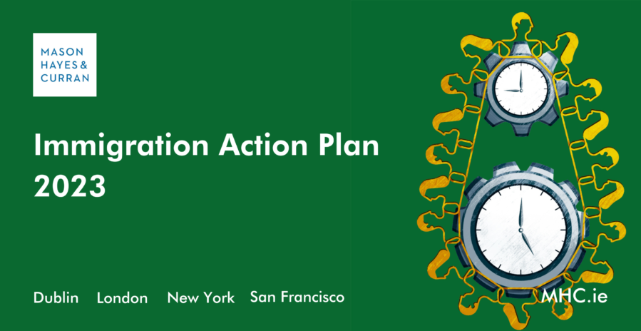 Immigration Action Plan 2023