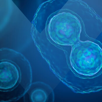 LS Compressed 12th March