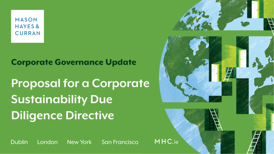 Proposal for a Corporate Sustainability Due Diligence Directive