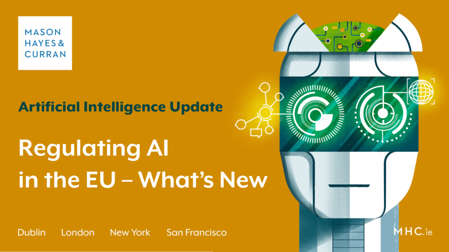 Regulating AI in the EU