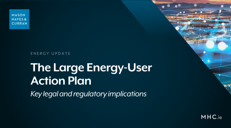 The Large Energy-User Action Plan