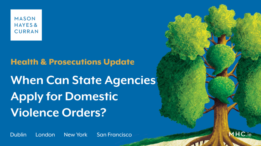 When Can State Agencies Apply for Domestic Violence Orders?