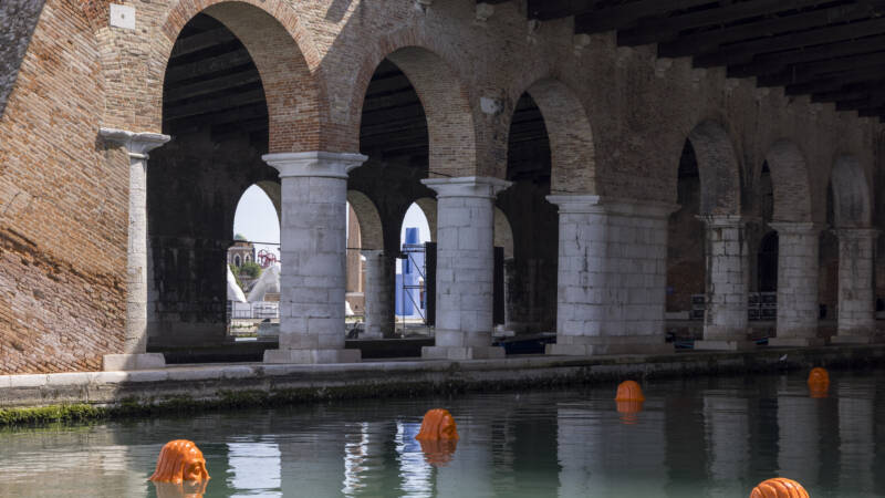 Alice Maher invited to the 61st International Art Exhibition of La Biennale di Venezia by Koyo Kouoh.  Images courtesy: La Biennale di Venezia