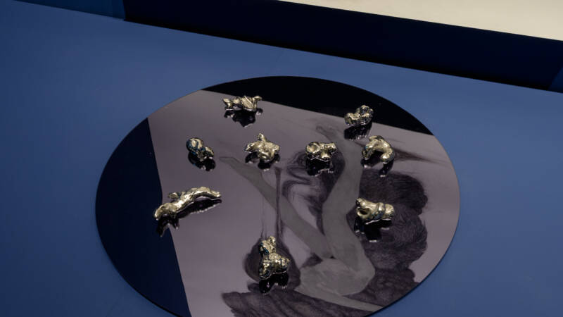 Alice Maher invited to the 61st International Art Exhibition of La Biennale di Venezia by Koyo Kouoh.  Images courtesy: La Biennale di Venezia