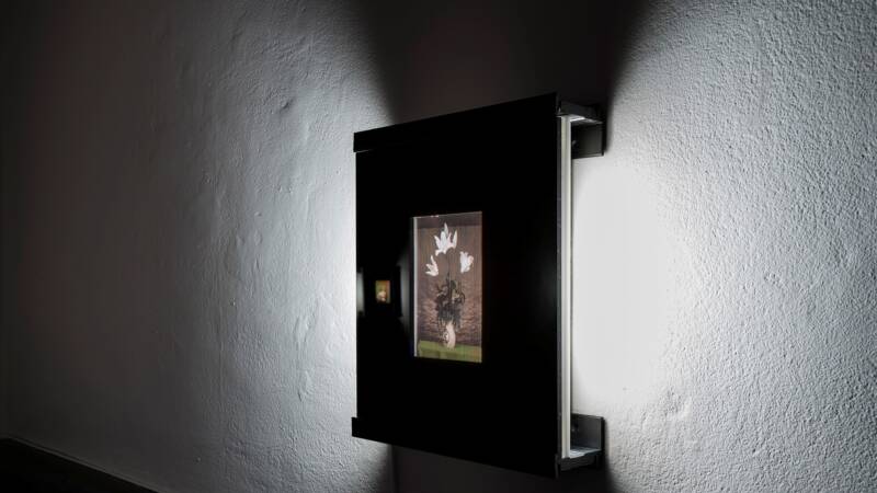 Hans Memling 1490, when the prophetic extinction occurred, 2019 installation view of Joly screen photograph 28 x 25.3 x 5.5 cm courtesy The Dock, Leitrim, Ireland